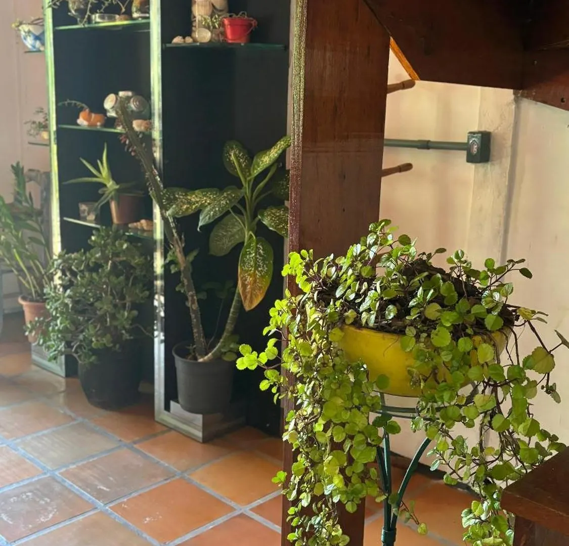 Feriehus Chale Curtafloripa Villa Florianópolis